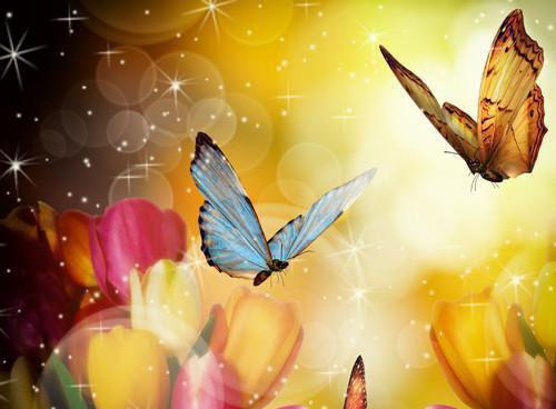 林若宁顾浩明张民玲最新章节更新 剥夺我探亲日的未婚夫,悔疯了笔趣阁最新章节