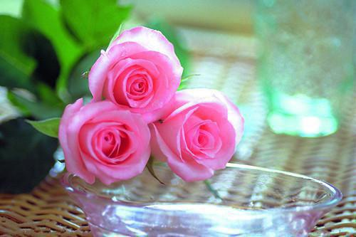 姜如谊周延章周司明黎雨瑭小说叫什么 姜如谊周延章小说姜如谊周延章周司明黎雨瑭免费阅读全文