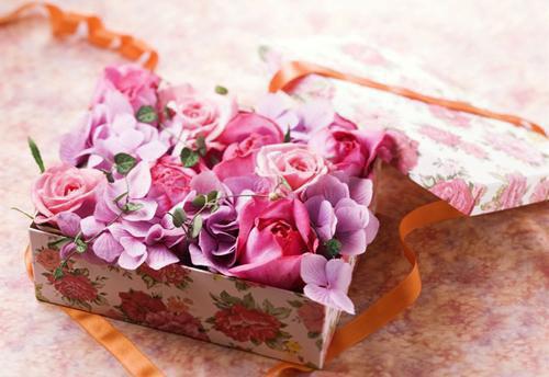 陆昭宁顾珩顾长渊林婉晴小说免费阅读 前夫要背叛我，我反手虐他全家：后续未删减小说