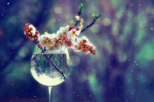 杨曦林子瑜免费阅读最新章节结局 闺蜜为了爱情放弃的豪门生活，被我捡漏了by萌新写手免费阅读