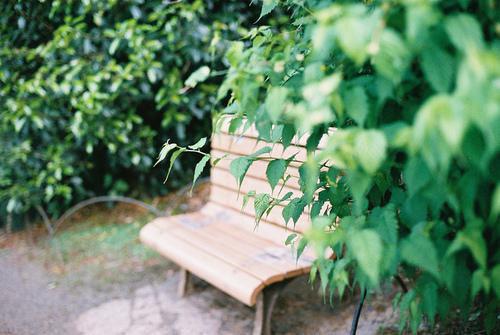 叶知微陈予安最新章节内容 家被毁掉后，妈妈在我床边坐了一整夜免费阅读叶知微陈予安小说