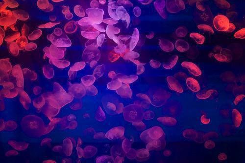 林银香霍清淮小说结局 重生八零三世肥妻追夫忙短篇小说