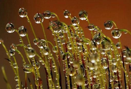 谢宁苒宋佑泽柯以宁常桉小说免费阅读 交换新娘男主谢宁苒宋佑泽柯以宁常桉小说