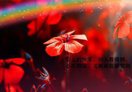 沈黎顾荣川小说在线阅读 沈黎顾荣川小说最新章节列表