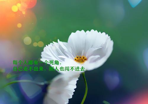 江晚谢景之叫什么小说 你为过客,我揽星河:后续江晚谢景之大结局