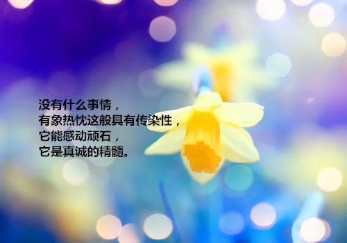 云雪柔最新章节列表 我云贵川渝小镇做题家,在高校伪装贵族:后续小说云雪柔