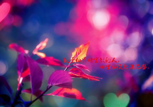 最新全本小说小乖，别哭小乖江盛_小乖，别哭(小乖江盛)最新章节列表阅读