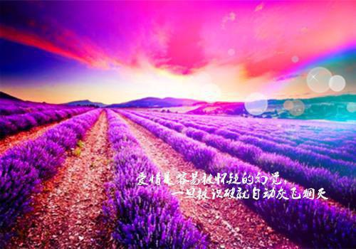 江封宴林曦云小说在线阅读 神明她从雪山来免费阅读小说