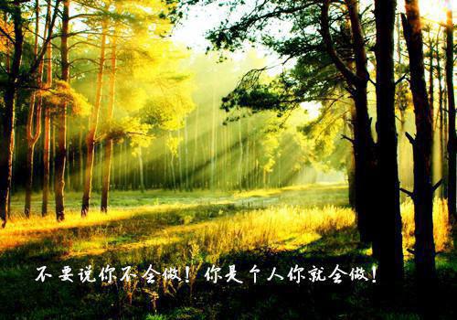 桑清妍裴辞墨孟微晴小说免费阅读全文 裴辞墨桑清妍笔趣阁最新章节列表