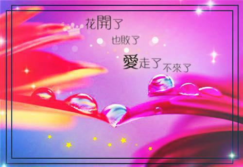 顾夕陈彦川小说叫什么 青梅退出顾夕陈彦川小说