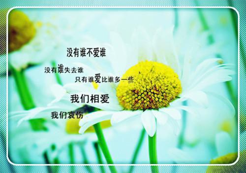 沈安然林轻舟小说笔趣阁最新章节 妹妹车祸之后，神外圣手老公让实习生主刀：番外完整版