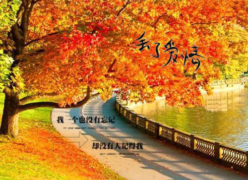 黎洛安许星程小说叫什么 黎洛安许星程免费阅读