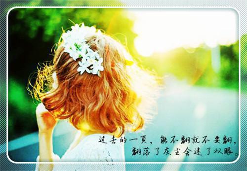 苏泽苏瑶苏建国刘桂芳免费阅读 给爸妈买楼王后,我杀疯了小说最新章节列表