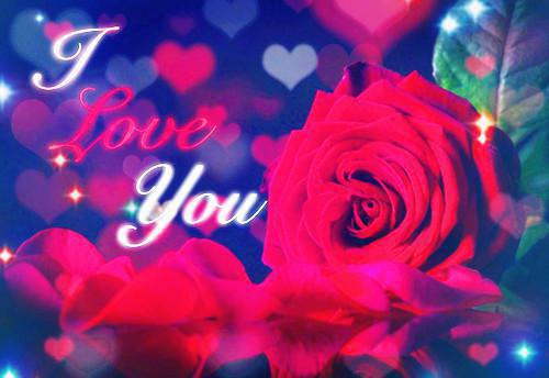 温宁陆则衍江熙然是哪部小说 我就是个医生，真没空陪你闹：后续最新章节更新