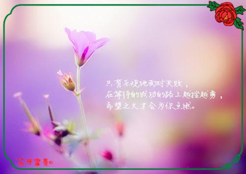 周崇沈淑仪苏俊泽小说叫什么名字 芽桂电子书