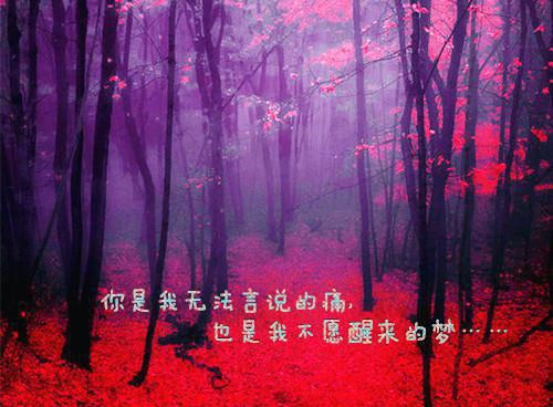 任春朝任秋夕萧珩承儿小说叫什么 替嫁五年后，穿越女嫡姐要我归还凤位小说