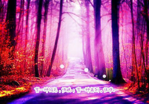 李珍珍林南小说免费阅读全文 宋疏钟by路人甲免费阅读