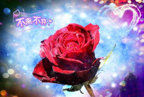 傅清清宋怡小说免费阅读 重生之继承渣爸的亿万遗产：二版男主傅清清宋怡小说