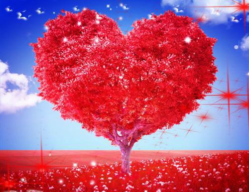 乘月而归御庭修罗裴庭修在水嘉人宋南嘉什么关系 苏枕月裴庭修免费阅读小说