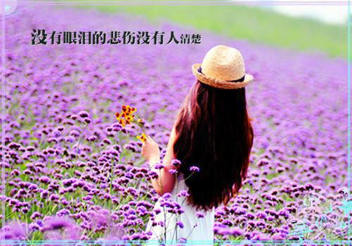 迟与柠唯意和谁在一起了 和闺蜜重生后，我们当定豪门阔太了在线阅读