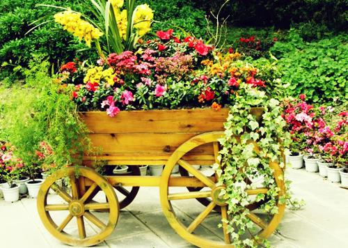 姜望舒池砚阮禾笔趣阁免费阅读 以新生为代号，赴一场未知小说姜望舒池砚阮禾免费阅读全文