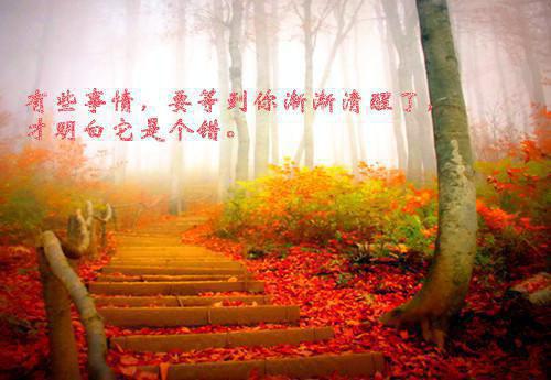 乔书亦顾驰聿完整版免费阅读第1章