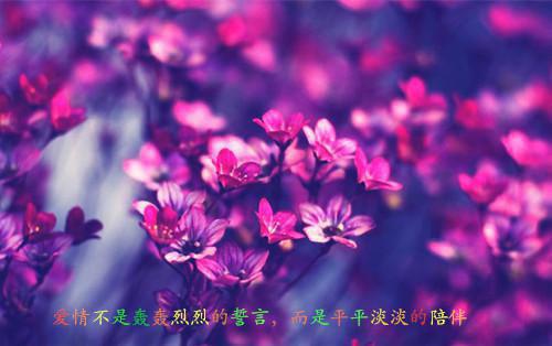 纪清池孟悬方既白苏念初最新章节更新 无人等候的回头完整版