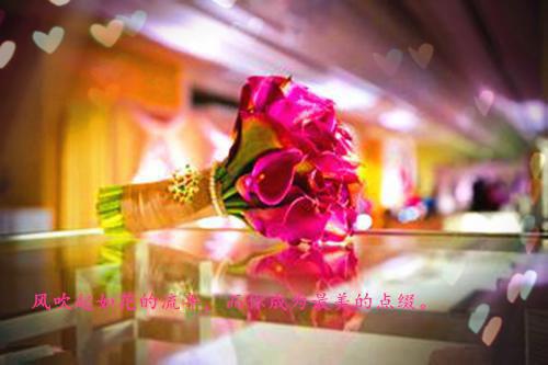 棠枝傅京洲乔念语免费阅读最新章节结局 棠枝傅京洲小说正版免费阅读