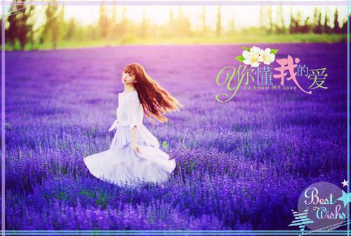 绯夭南宫翊苏在在清宴最新章节列表 月落海枯狐不归完整版