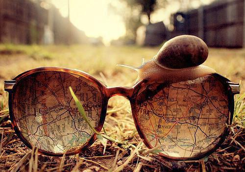 苏妙仪庄言峥的最新章节更新时间 看到凶案闪回，我成了警局团宠by萌新写手免费阅读