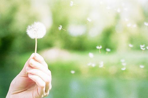 白眼狼室友联合学生会污蔑我后，我炸了整个学生会（李心柔徐宁宁李云婷）最新推荐_最新推荐白眼狼室友联合学生会污蔑我后，我炸了整个学生会（李心柔徐宁宁李云婷）