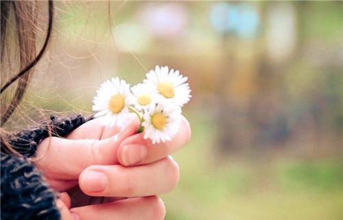 宋诗晴执明最新章节列表 宋诗晴执明小说正版阅读