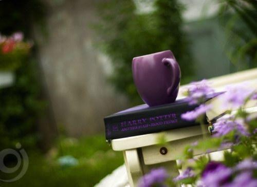 苏言星陆钦州最新章节更新 和哥哥的兄弟谈恋爱结局