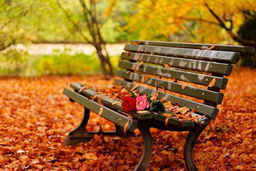 苏清漪萧玄渊最新章节更新时间 素筝偏生十三柱(佚名)免费阅读