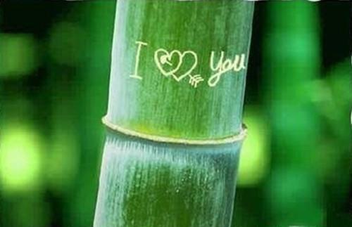 陆瑾丞江云意小说名字 再无春风再无你全文阅读