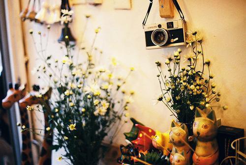 我简志文的最新章节更新时间 扔了老公的项圈钥匙后小说免费阅读全文最新章节