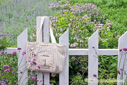 楚钰秦瑞林栀小说在线阅读 男助理扇了我一巴掌后,我杀疯了楚钰秦瑞林栀全文