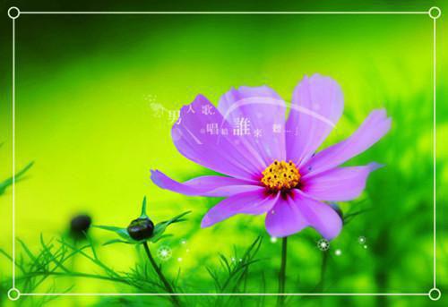 《西山雪月照我心》by佚名免费阅读【现代言情】