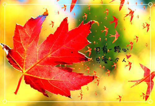 钟亦琛小说叫什么 钟亦琛张嘉敏温颂电子书