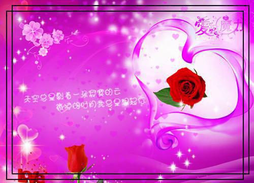 随军圆房后，禁欲大佬宠上天最新章节列表_随军圆房后，禁欲大佬宠上天全文免费阅读(李枝沈寒时)