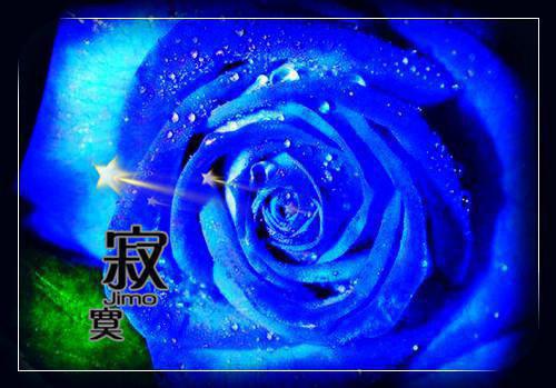 第一百次下下签，我嫁给了别人最新小说（姜时愿陆淮年）全文阅读