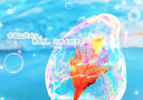 孟晚沈括最新章节列表 迦南再无你的笑颜男主孟晚沈括小说