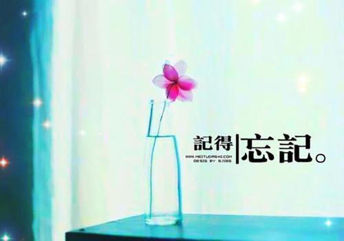 宁荣荣宁秋阳小说叫什么名字 斗罗：武魂十殿阎罗，吾为阴天子免费阅读小说