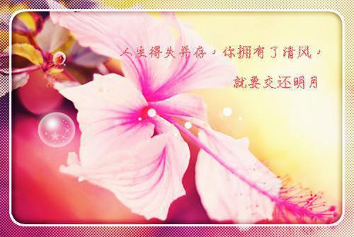 唐如意薛绍最新章节更新 哥哥重生后故意将我丢进乱葬岗，我被暴君养成公主by青衫客免费阅读