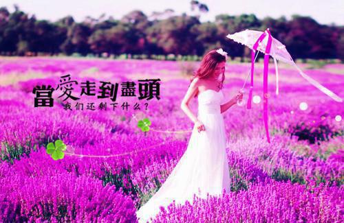 宋鸢萧煜萧楚桓最新章节内容 上言长相思，下言久别离最新章节免费阅读