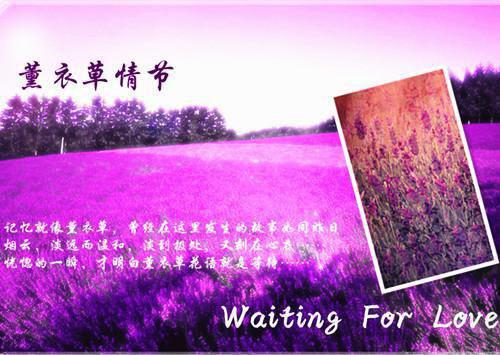 月薪4万1，妈不让回家（林梦竹李淑兰陈志）全文免费_（林梦竹李淑兰陈志）月薪4万1，妈不让回家后续阅读（林梦竹李淑兰陈志）