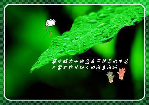 姜如玉顾书砚小说名字 错位婚姻:总裁的赎罪爱人全文免费阅读