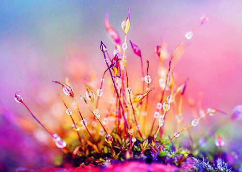 温慈江云峥谢声声大结局后续 失衡知乎温慈江云峥谢声声