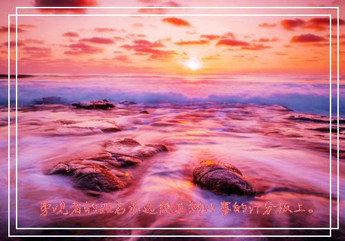 安若的小说将军夫人和离后,成了摄政王的心尖宠苏云卿萧北铮全文在线阅读