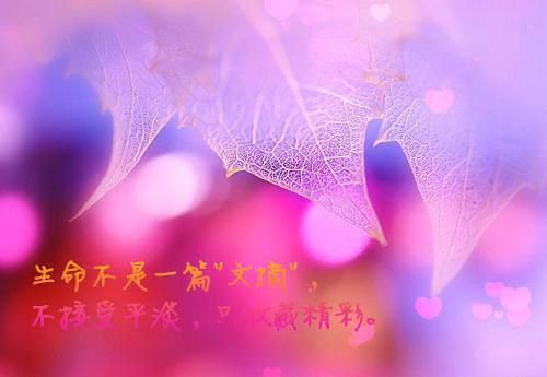 乔晚宁霍商蔚蓝免费阅读最新章节 前度全文免费阅读